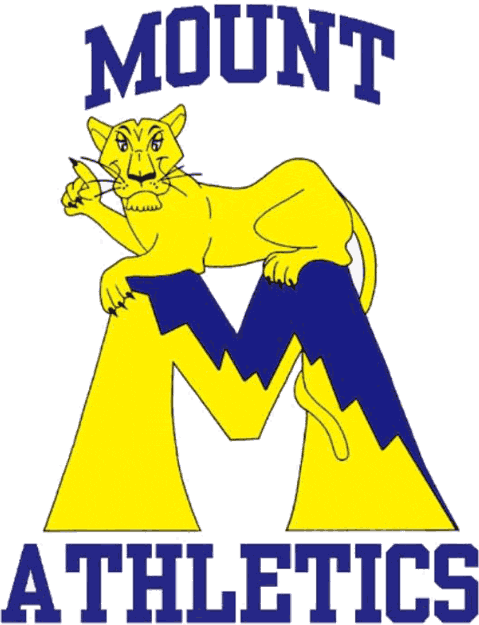 Mount St. Marys Mountaineers 1995-2003 Primary Logo iron on paper